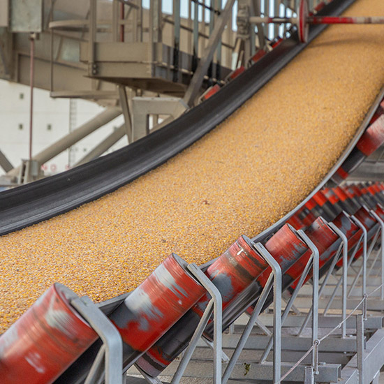 Grain storage and agricultural product processing